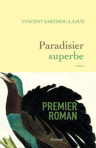 Paradisier superbe