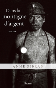 DANS LA MONTAGNE D ARGENT - ROMAN