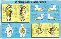 Réflexologie - Poster moyen format