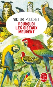 POURQUOI LES OISEAUX MEURENT