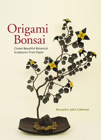 Origami Bonsai (avec DVD) /anglais