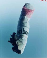 JULIA & VINCENT EROTISH 2 /ANGLAIS