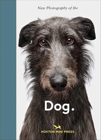 Dog.