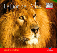 Le Lion De L'Atlas