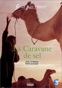 LA CARAVANE DE SEL