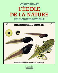 L'école de la nature