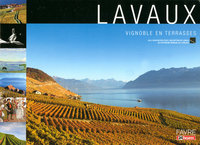 Lavaux vignoble en terrasses