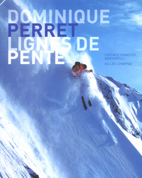 Dominique Perret - Lignes de pente