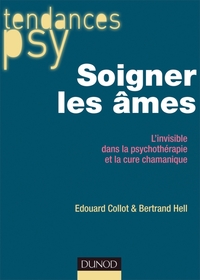 SOIGNER LES AMES - L'INVISIBLE DANS LA PSYCHOTHERAPIE ET LA CURE CHAMANIQUE