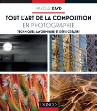 TOUT L'ART DE LA COMPOSITION EN PHOTOGRAPHIE - TECHNIQUES, SAVOIR-FAIRE ET DEFIS CREATIFS