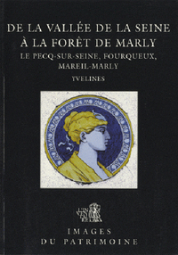 Vallee De La Seine A La Foret Marly 154