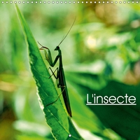 L INSECTE CALENDRIER MURAL 201