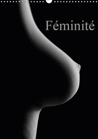 Féminité (Calendrier mural 2019 DIN A3 vertical)