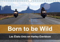 Born to be wild - Les États-Unis en Harley-Davidson (Calendrier mural 2019 DIN A4 horizontal)