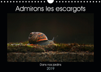 Admirons les escargots (Calendrier mural 2019 DIN A4 horizontal)