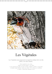 Les Végétales (Calendrier mural 2019 DIN A3 vertical)