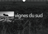 VIGNES DU SUD terroirs d'AOC (Calendrier mural 2019 DIN A4 horizontal)