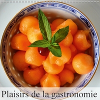 PLAISIRS DE LA GASTRONOMIE CAL