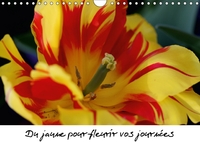 DU JAUNE POUR FLEURIR VOS JOUR