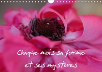 CHAQUE MOIS SA FORME ET SES MY