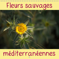 Fleurs sauvages méditerranéennes (Calendrier mural 2019 300 × 300 mm Square)
