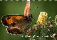 PAPILLONS DE NOS CONTREES CALE