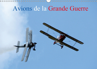 AVIONS DE LA GRANDE GUERRE CAL
