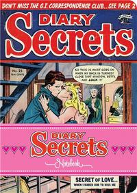 Diary Secrets Notebook /anglais