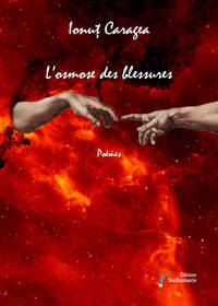 L'OSMOSE DES BLESSURES