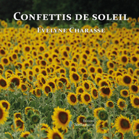 CONFETTIS DE SOLEIL