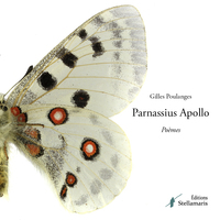PARNASSIUS APOLLO