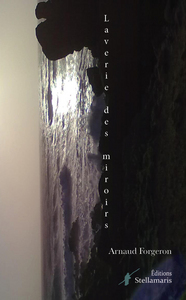 LAVERIE DES MIROIRS