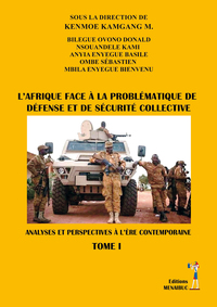 LAFRIQUE FACE A LA PROBLEMATIQUE DE DEFENSE ET DE SECURITE COLLECTIVE - ANALYSES ET PERSPECTIVES A L