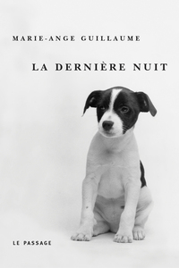 LA DERNIERE NUIT