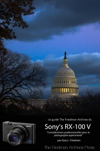 LE GUIDE THE FRIEDMAN ARCHIVES DU SONY'S RX-100 V (EDITION N & B)