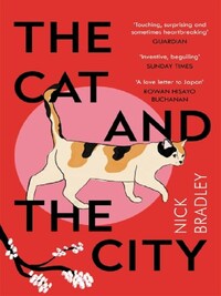 The cat and the city
