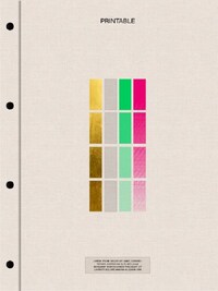 PRINTABLE : PRINTING TECHNIQUES & EFFECTS IN VISUAL DESIGN /ANGLAIS