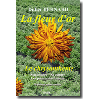 La fleur d'or - le chrysanthème, son histoire, sa culture, les différentes  variétés