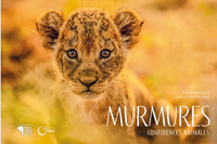 Murmures