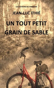 UN TOUT PETIT GRAIN DE SABLE