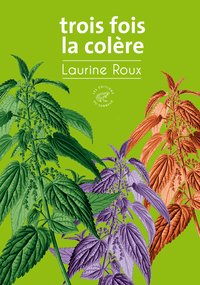 Trois fois la colère (titre provisoire)