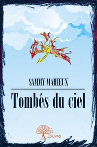 Tombés du ciel