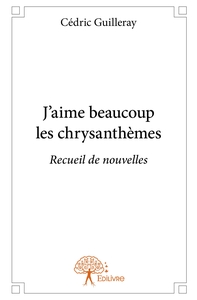 J'aime beaucoup les chrysanthèmes