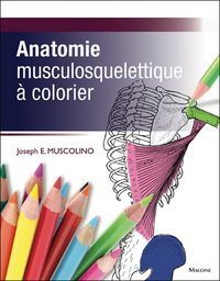 anatomie musculosquelettique a colorier