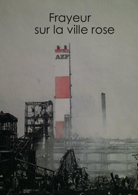 FRAYEUR SUR LA VILLE ROSE