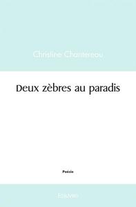 Deux zèbres au paradis