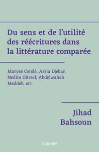 Du sens et de l'utilité des réécritures dans la littérature comparée.