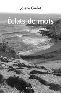 Éclats de mots