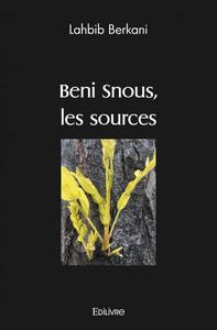 Beni snous, les sources