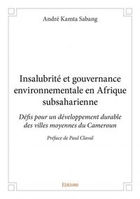 Insalubrité et gouvernance environnementale en afrique subsaharienne
